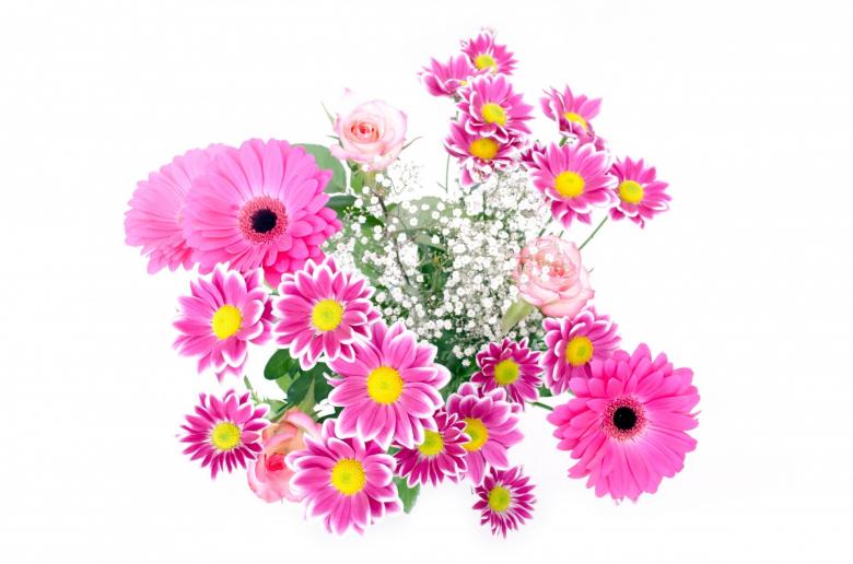 Free stock image of Fresh Flowers created by Pixabay