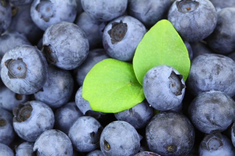 Free stock image of Nature created by Pixabay