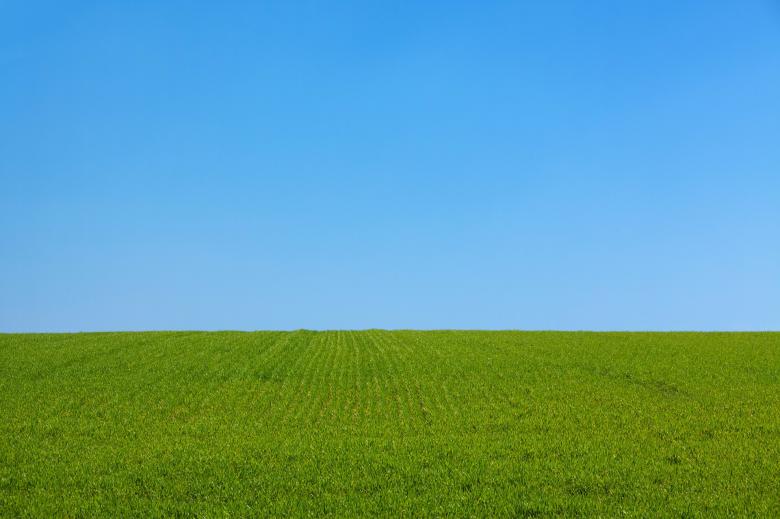 Free stock image of Grassy Field created by Pixabay