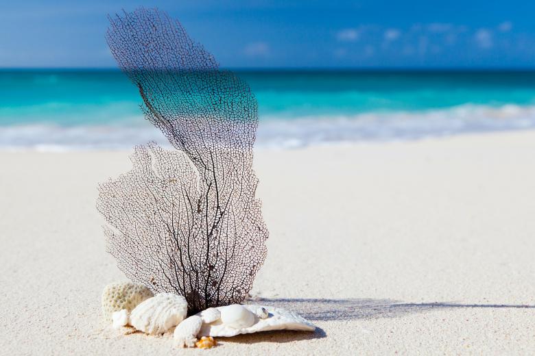 Free stock image of On the Beach created by Pixabay