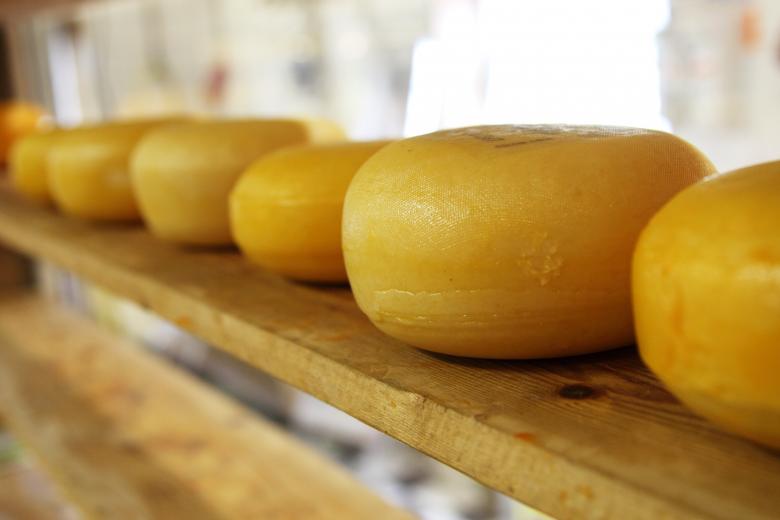 Free stock image of Bunch of Cheese created by Pixabay