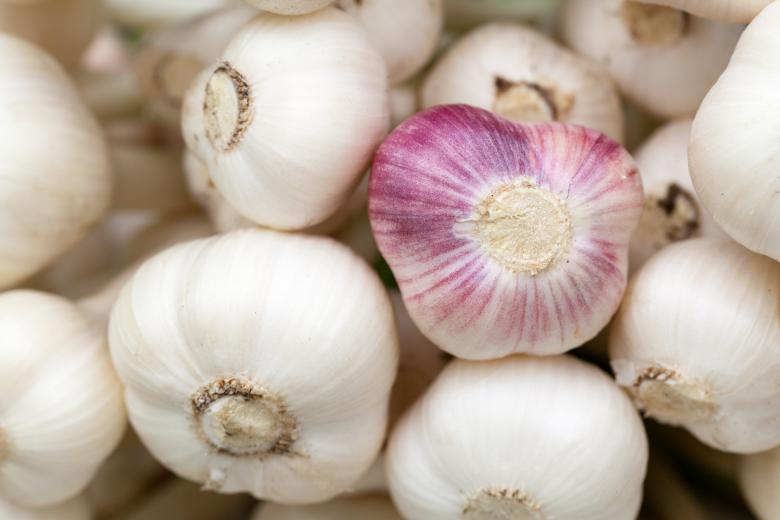 Free stock image of Aromatic Garlic created by Pixabay
