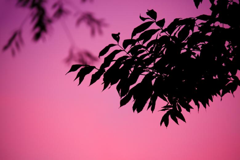 Free stock image of At Sunset created by Pixabay