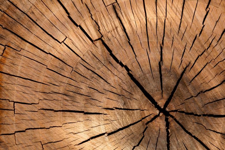 Free stock image of Old Wood created by Pixabay