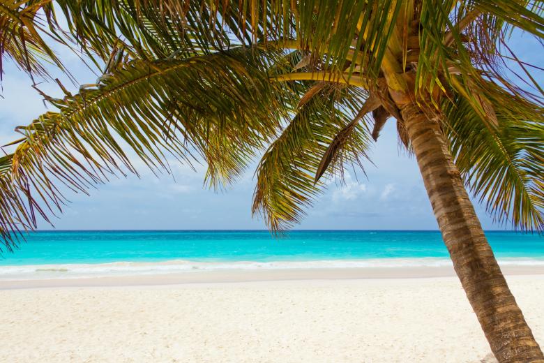 Free stock image of Beach View created by Pixabay