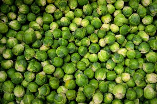 Brussels Sprouts - Free Stock Photo