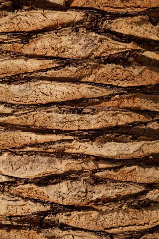 Free stock image of Wood Closeup created by Pixabay