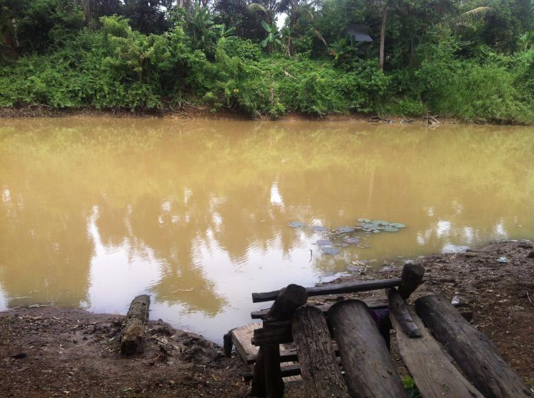 Free stock image of Nature in Beng Lake created by Sen Bavel