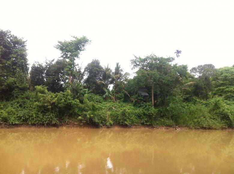 Free stock image of Nature in Beng Lake created by Sen Bavel