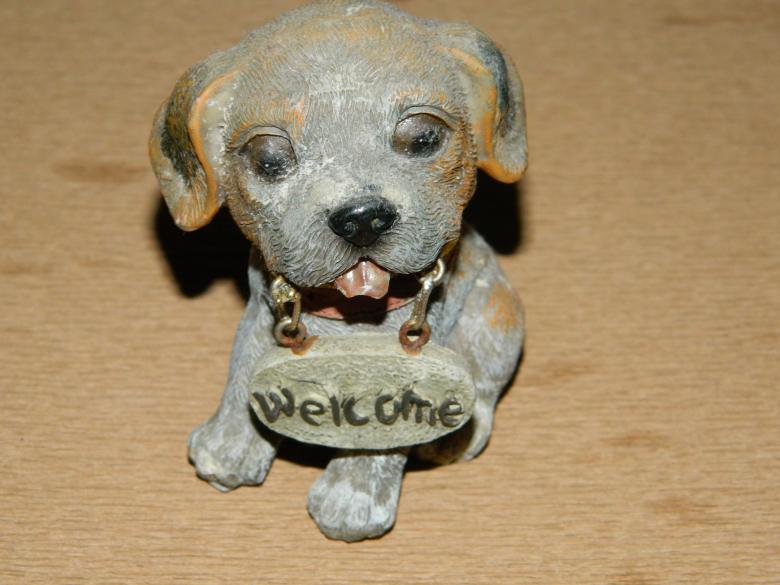 Free stock image of Dog With Welcome Sign created by Hulya Yılmaz