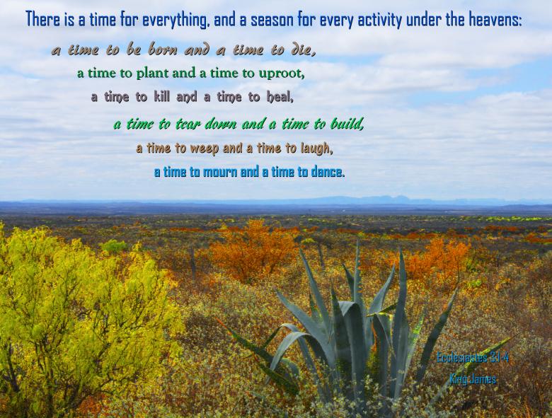 Free stock image of A Time for Everything created by DFNatureAwed