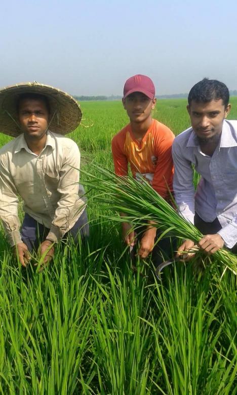 Free stock image of Grass Cutting created by Muhammad Fazal M. M. Rehmani