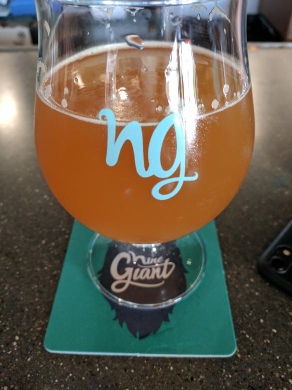 Free stock image of Nine Giant Pint created by Brian