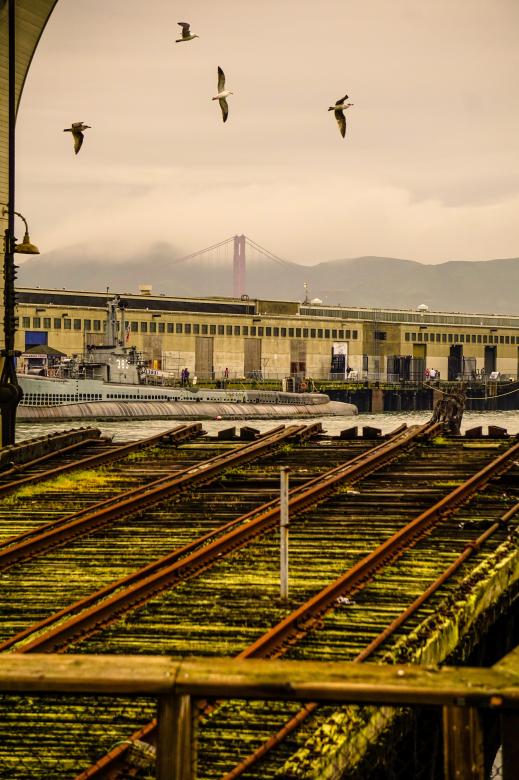 Free stock image of Golden Gate From Embarcadero created by Brian