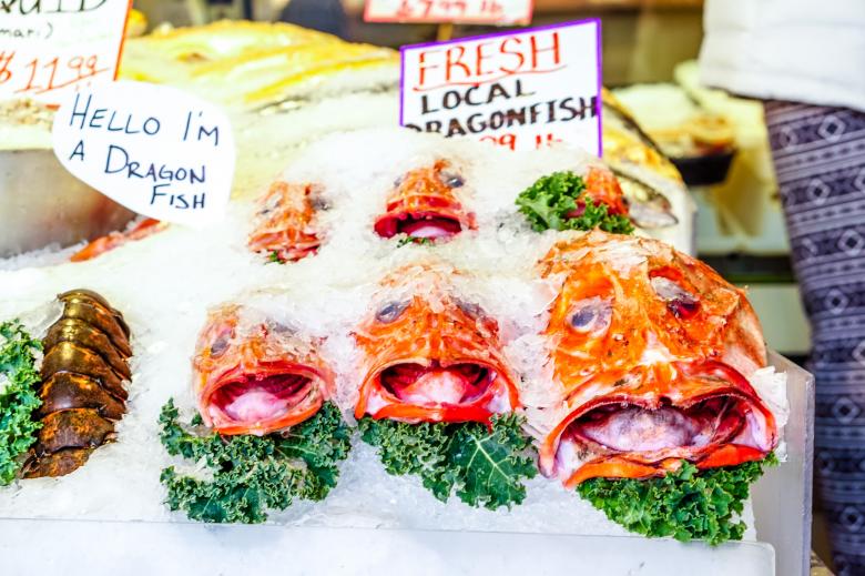 Free stock image of Dragon Fish created by Brian