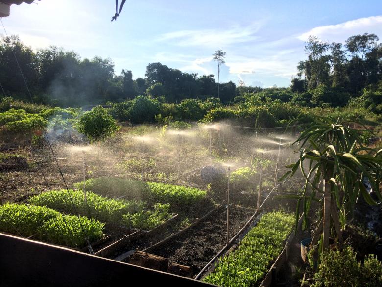 Free stock image of Home Farming created by Rikson Roberto
