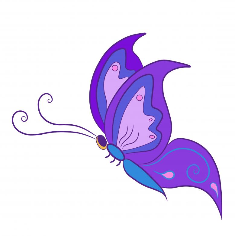 Free stock image of Vector Butterfly created by Alexander