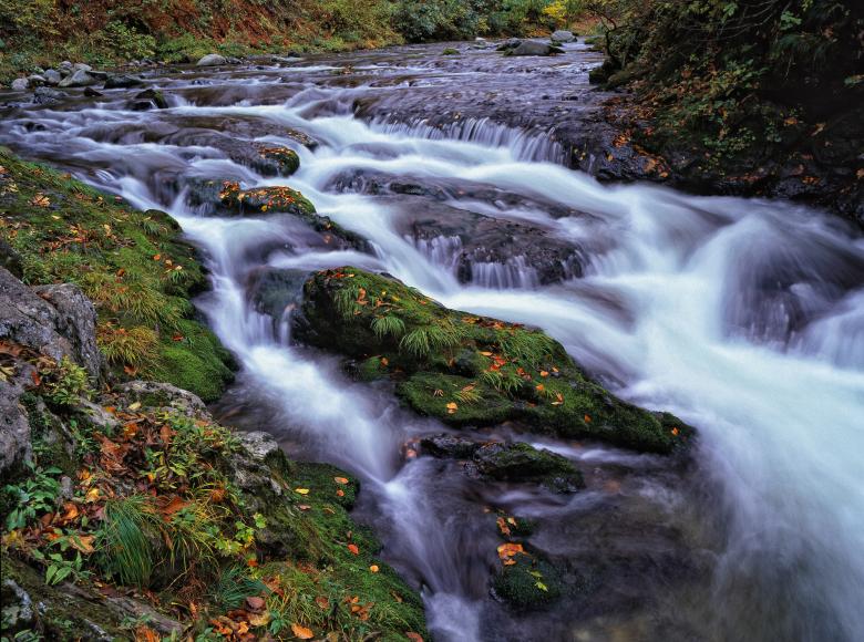 Free stock image of Clear Stream created by Pixabay