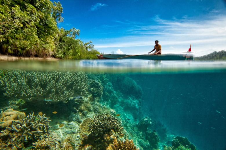 Free stock image of Coral Reef created by Pixabay