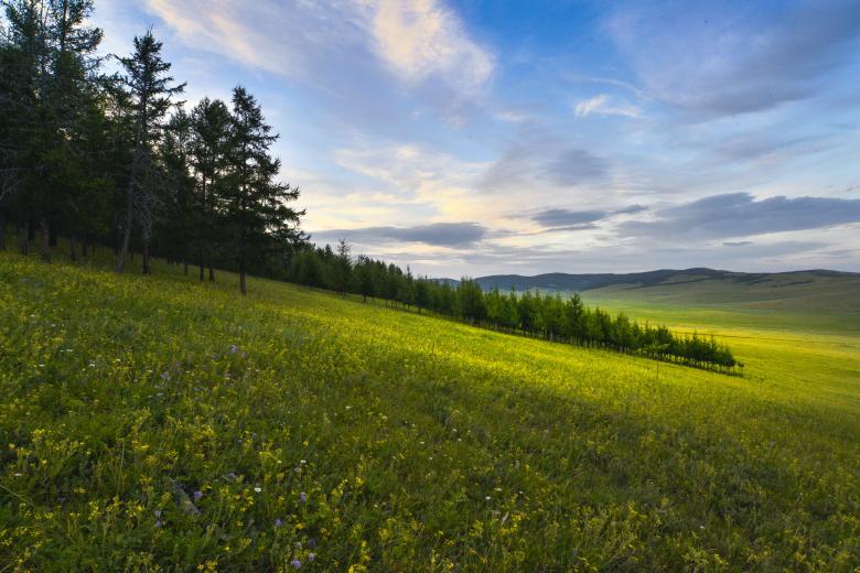 Free stock image of Meadow created by Pixabay