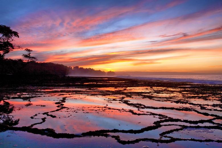Free stock image of Morning Glow created by Pixabay