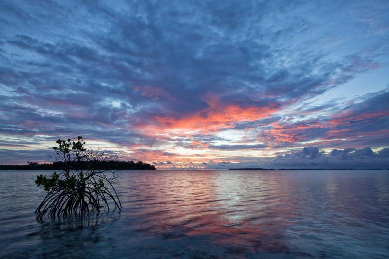 Free stock image of Sunset created by Pixabay