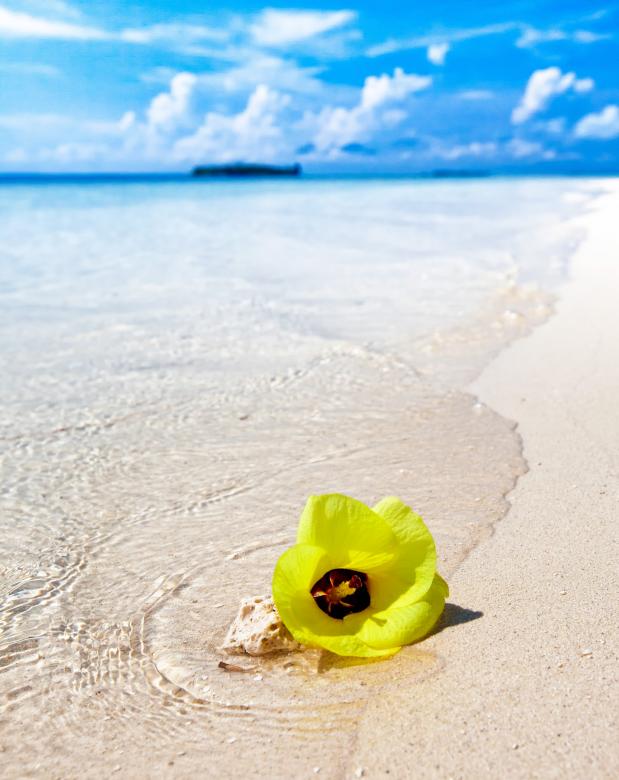 Free stock image of White Sand Beach created by Pixabay