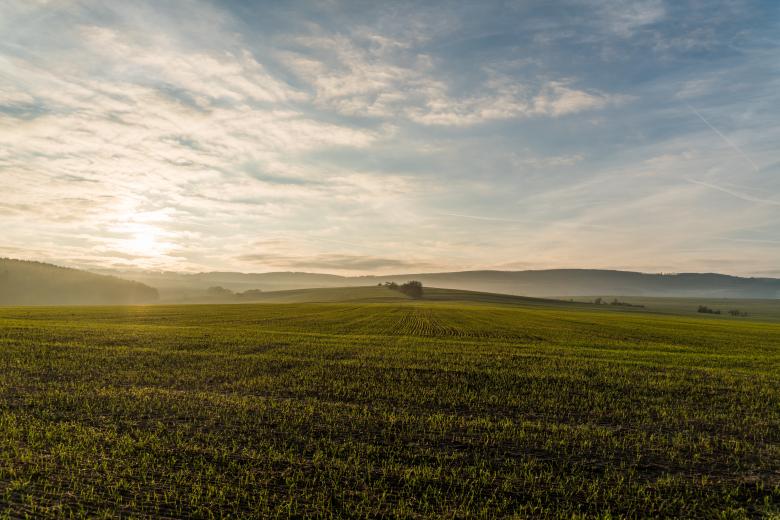 Free stock image of Green Land created by Pixabay