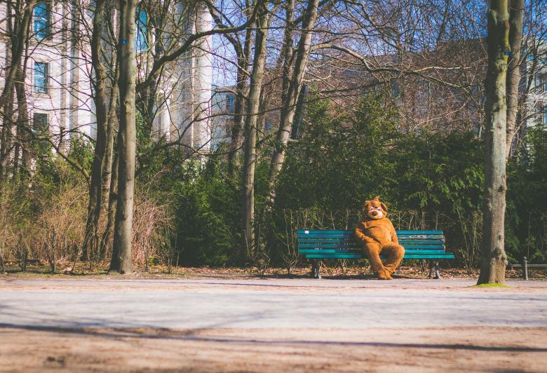Free stock image of Bear on the Bench created by Pixabay