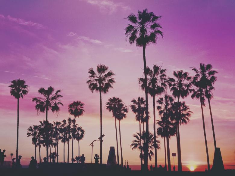 Free stock image of Tropical Trees created by Pixabay
