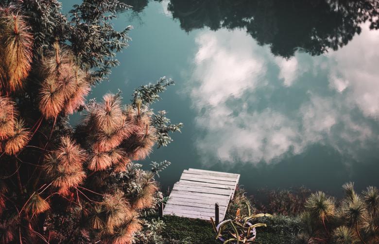 Free stock image of Lake View created by Pixabay