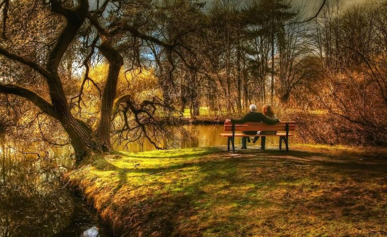 Free stock image of Sitting on the Bench created by Pixabay