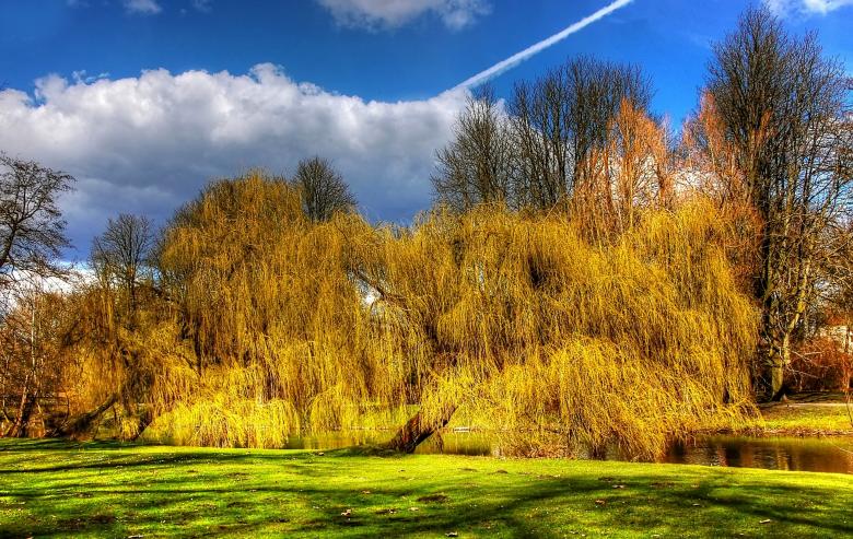 Free stock image of Wild Braunschweig created by Pixabay