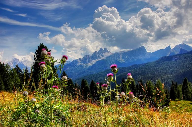 Free stock image of Croda da Lago created by Pixabay