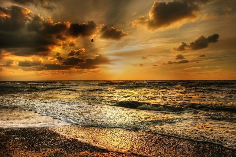 Free stock image of Denmark Beach at Sunset created by Pixabay