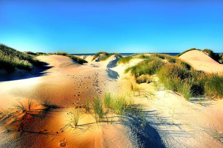 Free stock image of Wild Desert created by Pixabay