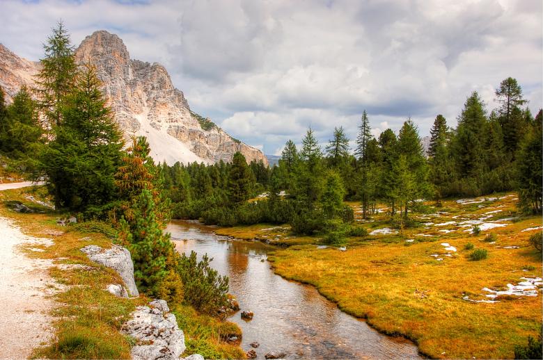 Free stock image of Wild View created by Pixabay