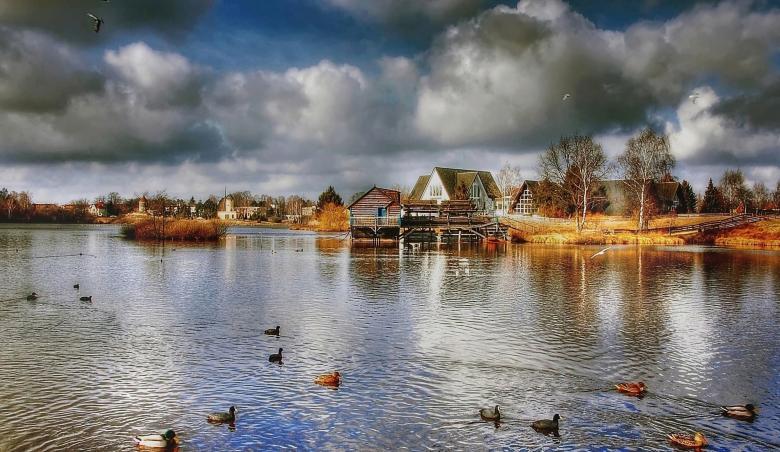 Free stock image of Ducks in the River created by Pixabay