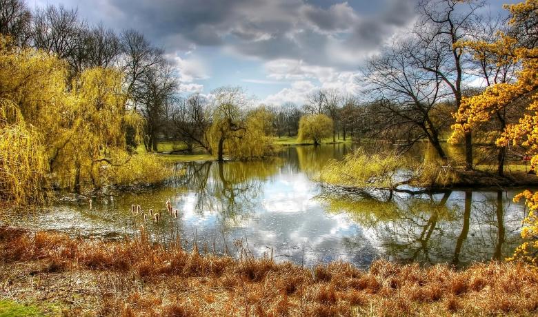 Free stock image of In the Park created by Pixabay