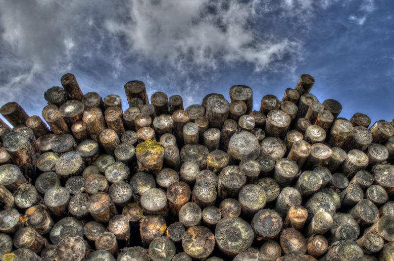 Free stock image of Wood Logs created by Pixabay