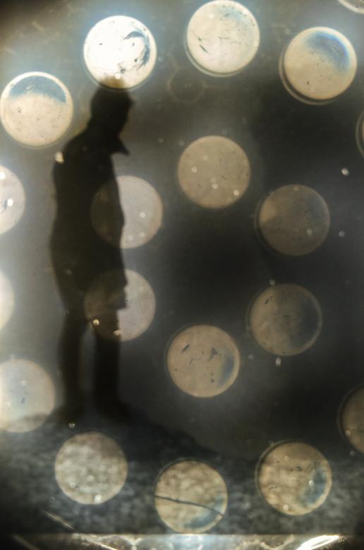 Free stock image of Bokeh and Human created by Pixabay