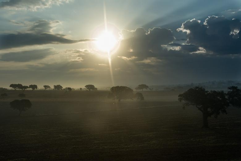 Free stock image of Morning in the Field created by Pixabay