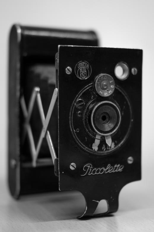 Free stock image of Black Piccolette created by Pixabay