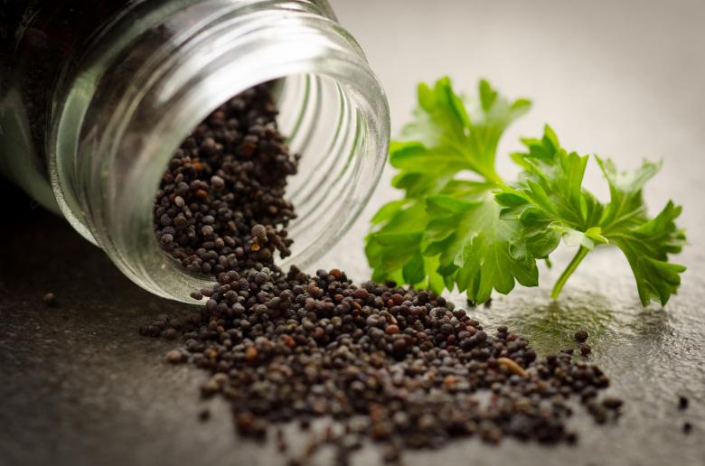 Free stock image of Poppy Seed created by Pixabay