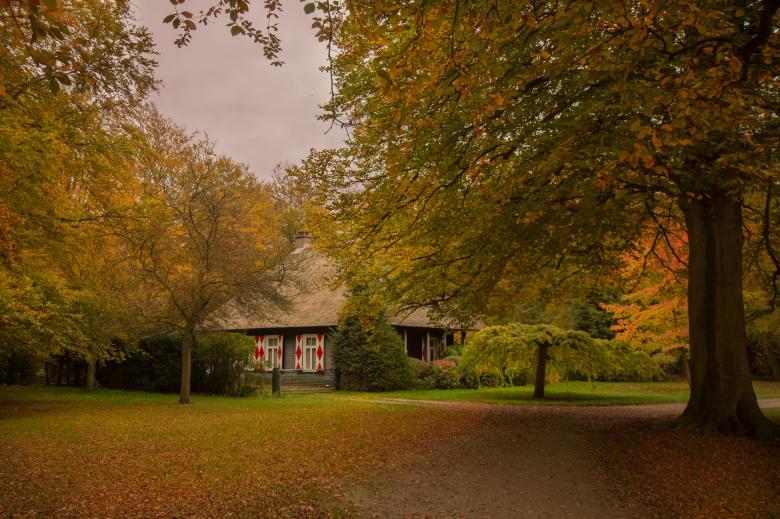 Free stock image of House in the Forest created by Pixabay