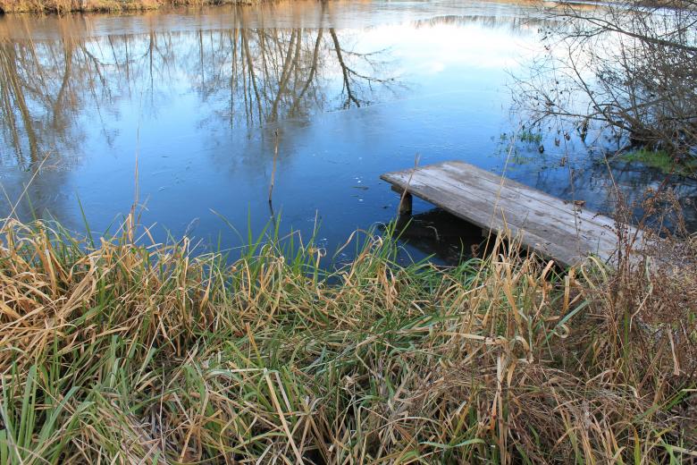 Free stock image of Small Peer by a Pond created by  Талашманов Александр