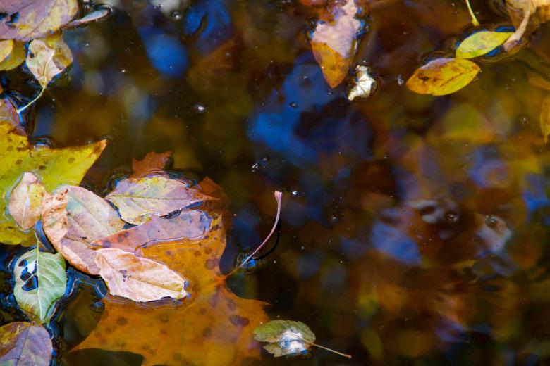 Free stock image of Colorful Water Abstract created by alisa moody