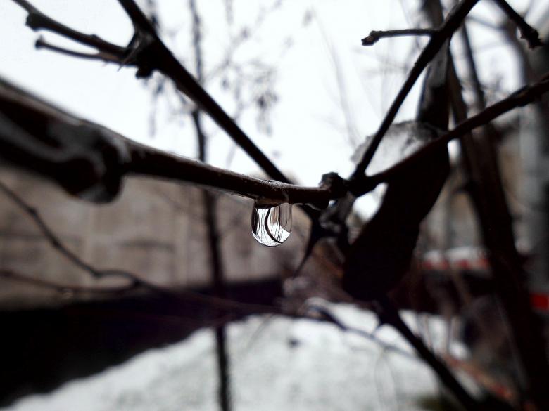 Free stock image of Drop in the snow created by cristian adolfo  pavez fuenzalida