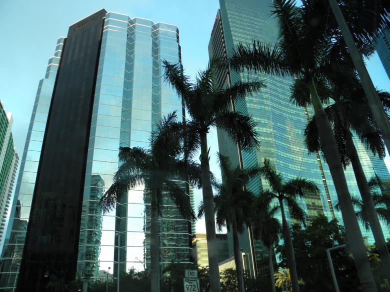 Free stock image of Glass Buildings and Palm Trees created by Roberto Fernandez Rizo