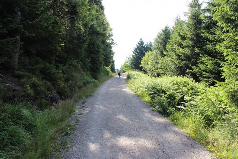 Free stock image of Walk the road created by Hassan Yahya Alali